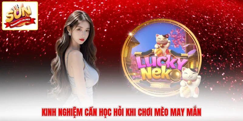 Kinh nghiệm cần học hỏi khi chơi Mèo May Mắn